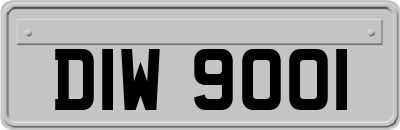 DIW9001