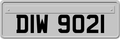 DIW9021