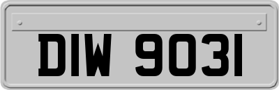 DIW9031