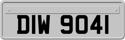 DIW9041