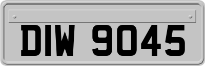 DIW9045