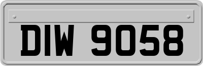 DIW9058