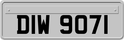 DIW9071