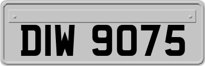 DIW9075
