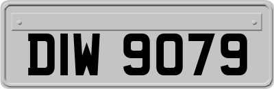 DIW9079