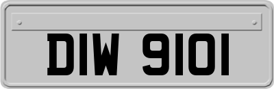 DIW9101