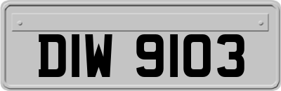 DIW9103