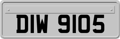 DIW9105