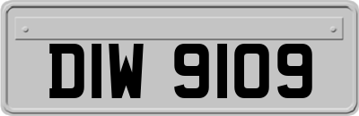 DIW9109