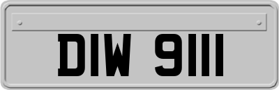 DIW9111