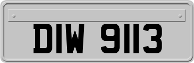 DIW9113