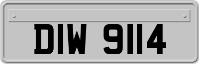 DIW9114