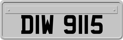 DIW9115