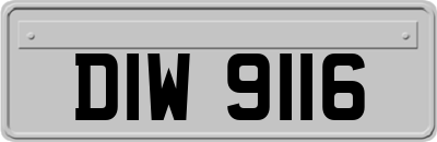 DIW9116