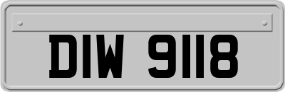 DIW9118