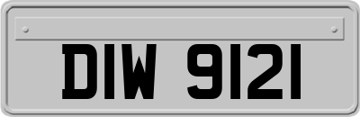 DIW9121