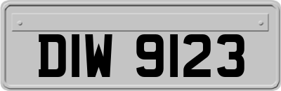 DIW9123