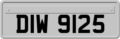 DIW9125