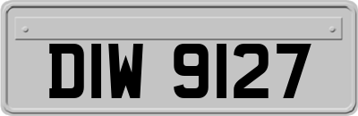 DIW9127