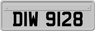 DIW9128