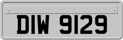DIW9129