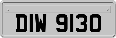 DIW9130