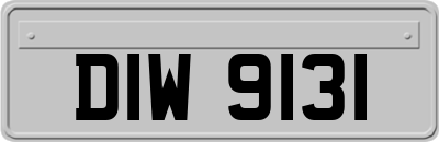 DIW9131