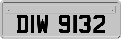 DIW9132