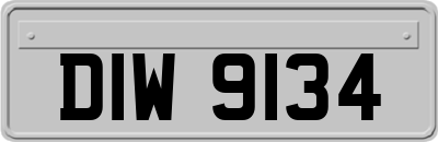 DIW9134