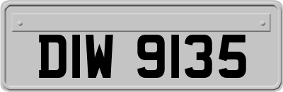 DIW9135