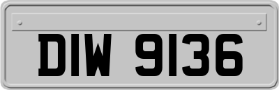 DIW9136