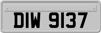 DIW9137