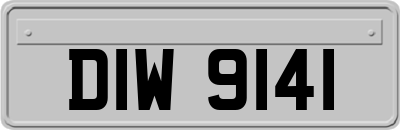 DIW9141