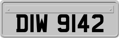 DIW9142