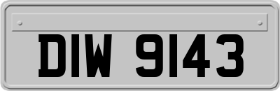 DIW9143