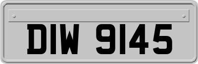 DIW9145