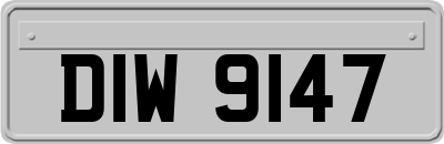 DIW9147