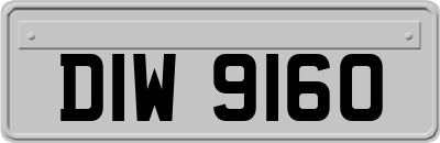 DIW9160