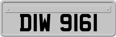 DIW9161