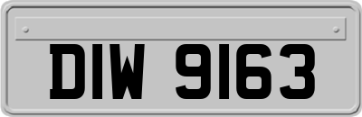 DIW9163
