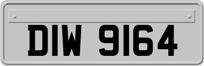 DIW9164