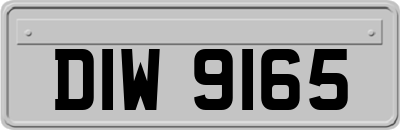 DIW9165