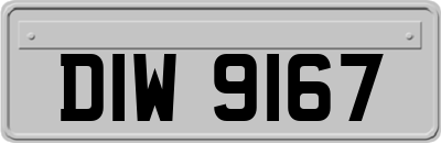 DIW9167