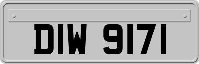 DIW9171