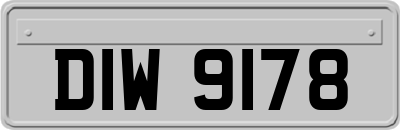 DIW9178