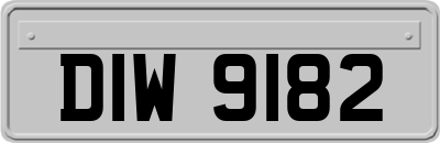 DIW9182