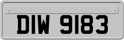 DIW9183