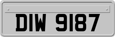 DIW9187