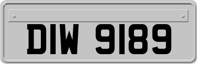 DIW9189