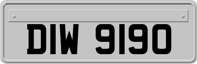 DIW9190
